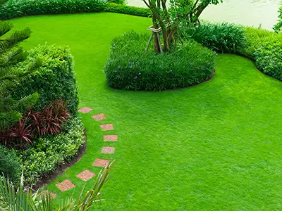 Landscape Services, Sorrento, FL