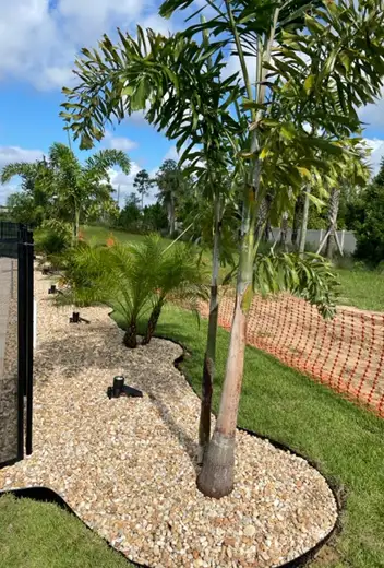 Landscape Planting, Apopka, FL